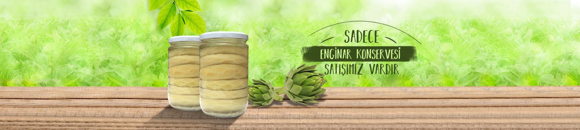 enginar-konserveleri-min